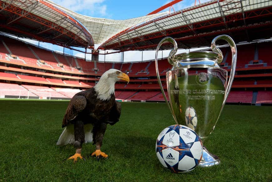 Final Lisbon Eagle UEFA Champions League Final Lisbon 2014