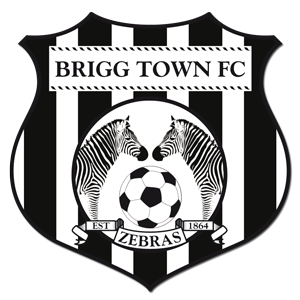 Brigg Town